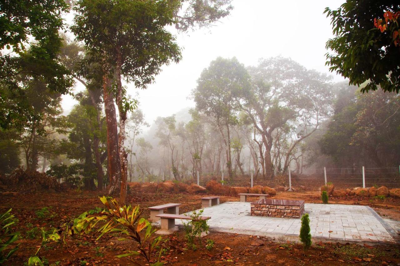 Coffee & Mist Luxury Villa- Comp Breakfast, Pool, Lounge, And Coffee Estate By Stayvista Madikeri Εξωτερικό φωτογραφία